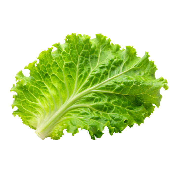 Paño de gamuza con forma de hoja de lechuga.